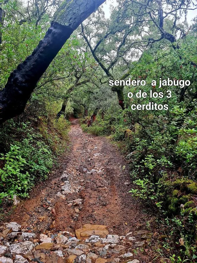 Los RomerosLa Casa Junto Al Sendero Del Rio & Piscina # Aire Acondicionado别墅 度假居 Los Romeros